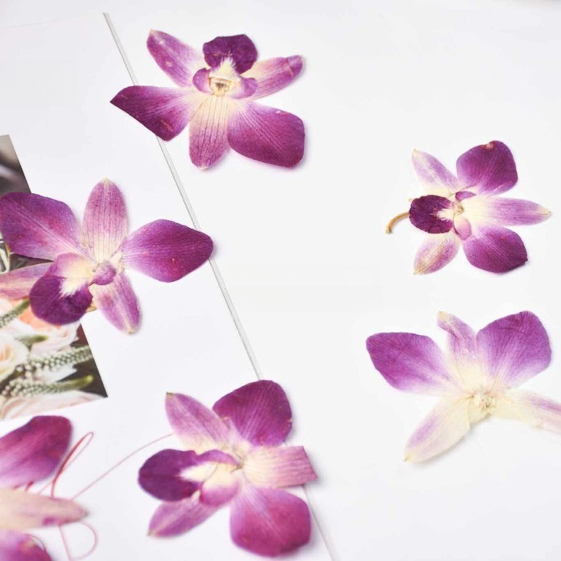 4pcs,Real Pressed Butterfly Or - огляд і ціна Art Craft Butterfly