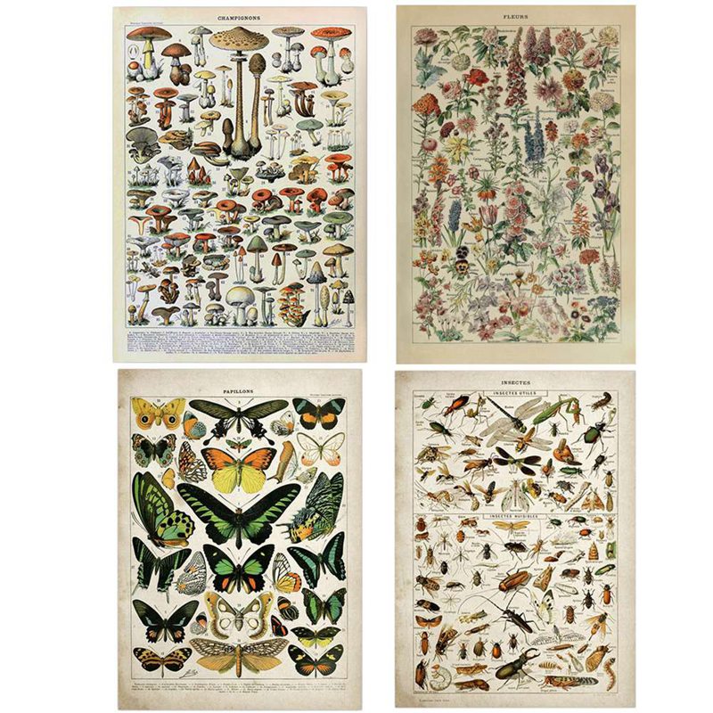 Vintage Adolphe Millot Encyclo - огляд і ціна Art Craft Butterfly